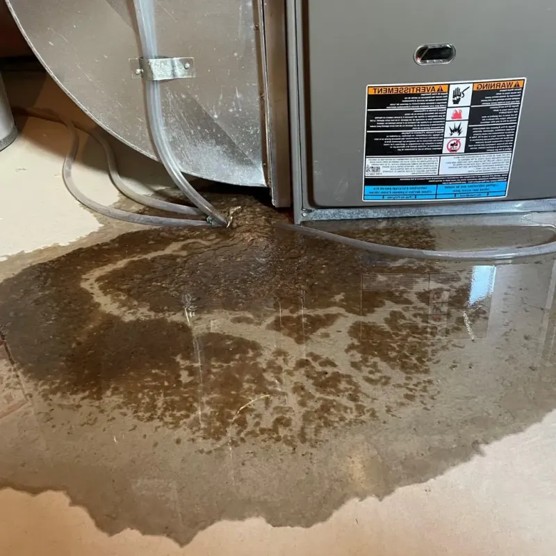 Pipe Burst and Leak Restoration in Union, ME