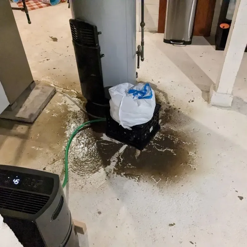 Sewage Backup Cleanup Service in Union, ME